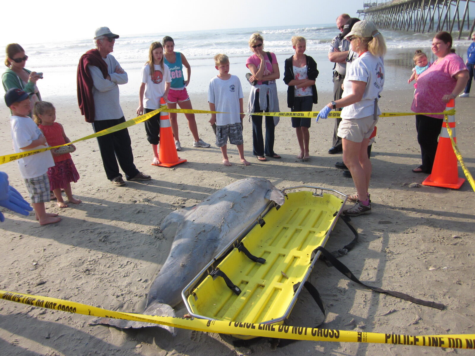 A teachable moment as our regional marine mammal stranding coordinator Vicky Thayer discusses a dead stranded dolphin to beachgoers by the Emerald Isle fishing pier on April 11, 2011.